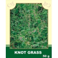 Knot Grass